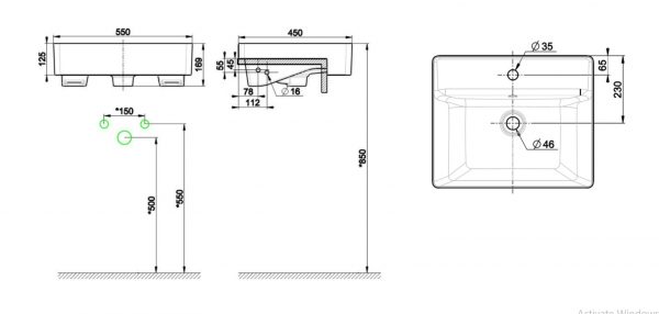 chau american F419