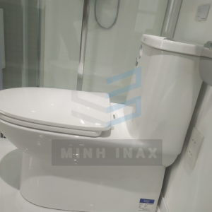 hình ảnh thưc tế bồn cầu american standard wp-2073